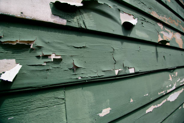 Best Same-Day Junk Removal Services  in Oakdale, NY